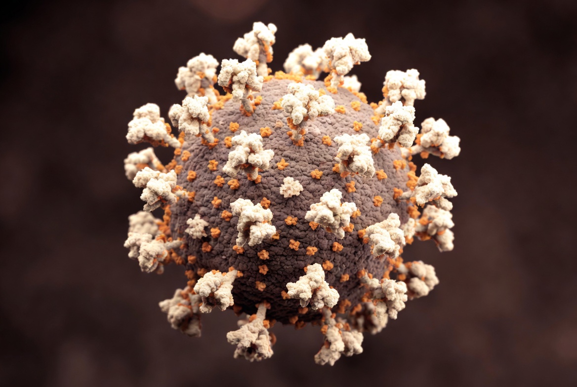 Tout savoir sur le virus Zika