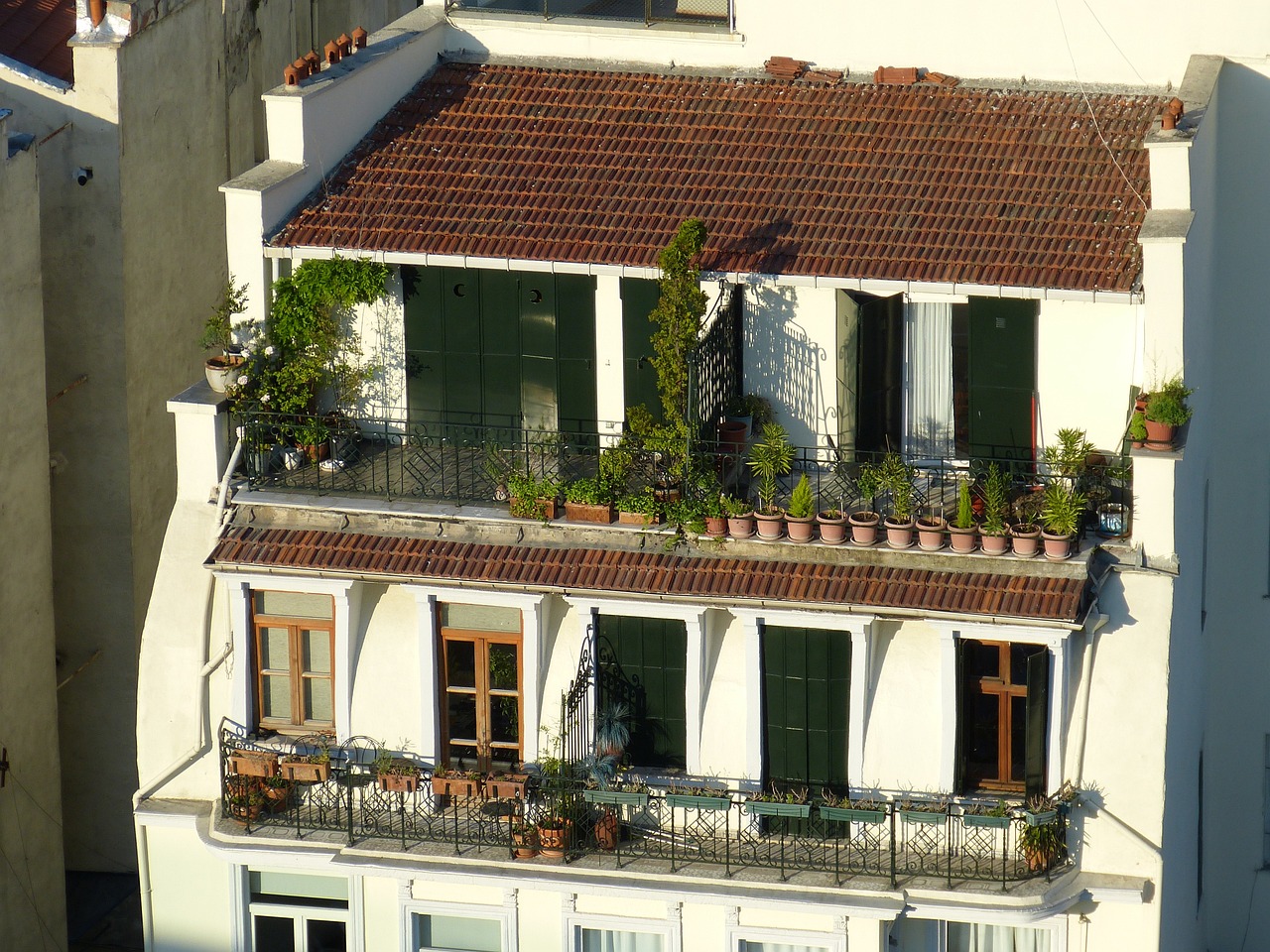 Un jardin perché sur un balcon à Paris
